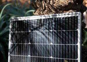 Panneau solaire partiellement ombragé devant un tronc d'arbre, abordant la fiscalité liée à son installation.