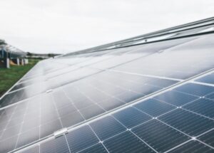 Grande surface de panneaux solaires monocristallins, reflétant légèrement la lumière, installés en extérieur sur un site herbeux.