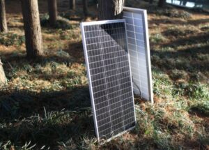 Deux panneaux solaires photovoltaïques adossés à un arbre dans une forêt, suggérant le recyclage écologique.